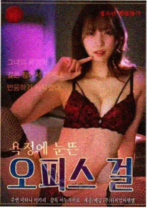 雾中来信剧集封面